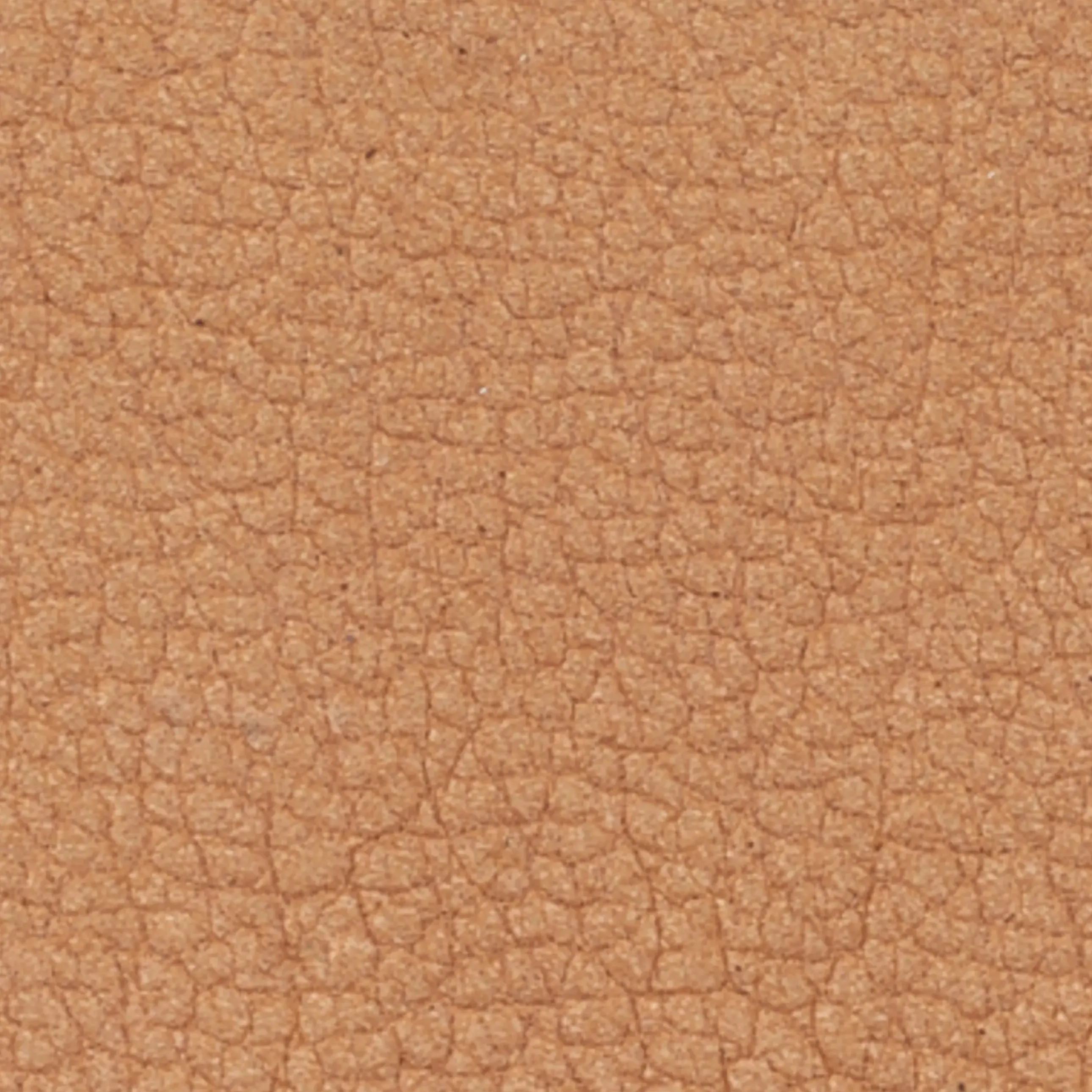 Lady Perforated Slip-On Ballet Flat